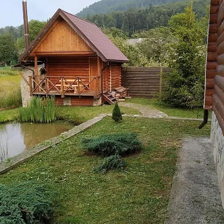 краєвських Krapivnik
